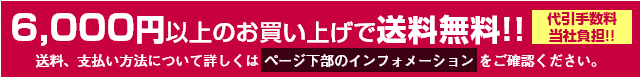送料、支払い方法については下記インフォメーションをご確認ください。